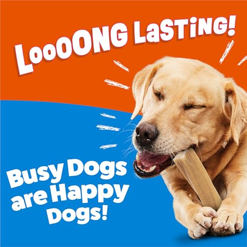 Purina Busy Bone Large Dog Chew Treats, Peanut Butter Flavor, 10 ct Pouch - size: 2.19 Pound (Pack of 1)