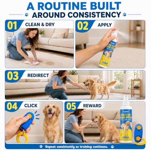 Puppy House Training Support Spray for Daily Routines, 8 Fl Oz - size: 8.0 Fl Oz