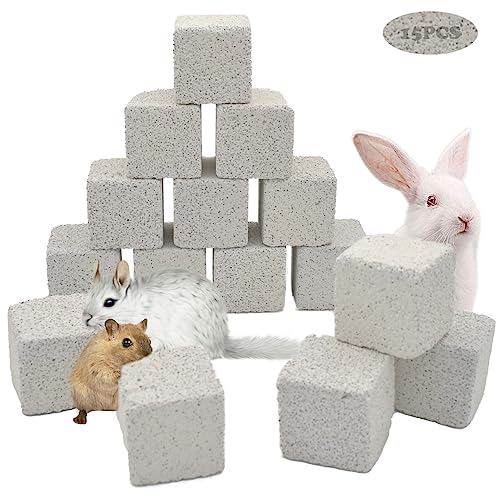 kathson Natural Rabbit Teeth Grinding Stones,15 Pcs Chinchilla Teeth Grinding Toys Lava Stone for Rabbits Hamster Chew Stones Small Animal Mineral Calcium Lava Blocks for Chinchillas Guinea Pig Rat