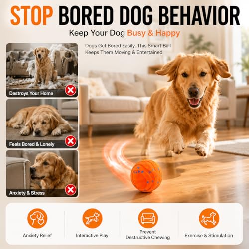 Automatic Interactive Dog Ball, Self-Moving Rechargeable Toy, 2 Modes