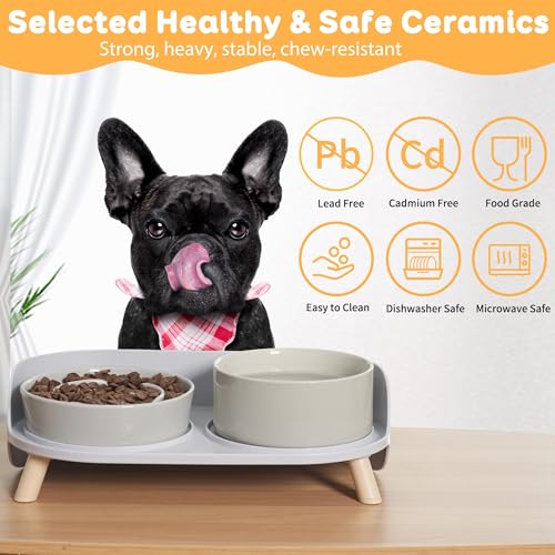 Elevated Slow Feeder Dog Bowls with Splash Proof Stand, Slow Eating 5X - color: Grey