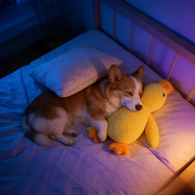 Dog Calming Duck Toy Yellow Duck Plush Toy ， Mellow Calming Pillow Soft Interactive Toy for All Dogs（Yellow，1pcs，Medium Size）