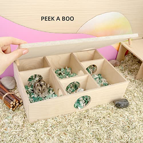 Niteangel Multi-Chamber Hamster House Maze: 2 Entrance 6 Rooms Maze Habitat - size: 6-Room Small
