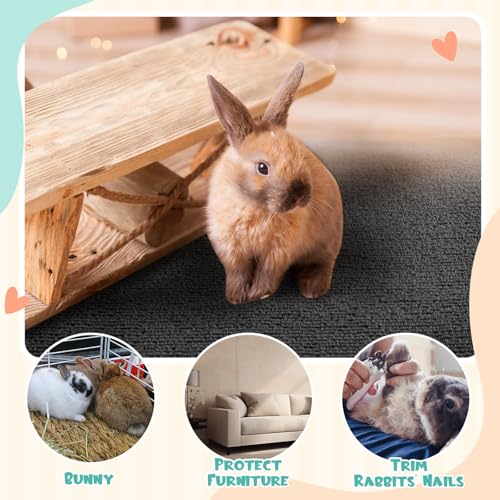 12" x 6.56' Rabbit Scratch Mat, Self Adhesive Bunny Pad, Dark Gray - color: Dark Gray, size: 12 Inch X 6.56 ft