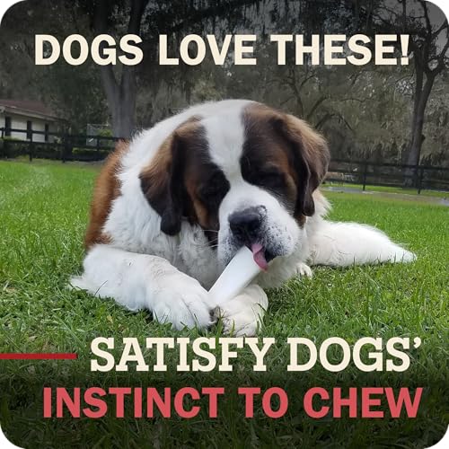 Redbarn Pet Products Large Filled Dog Bones, Cheese & Bacon Flavor - Long Lasting Stuffed Femur Chew Treat Made in USA - 4 Count - Packaging May Vary (Pack of 3) - size: 4 Count (Pack of 3)