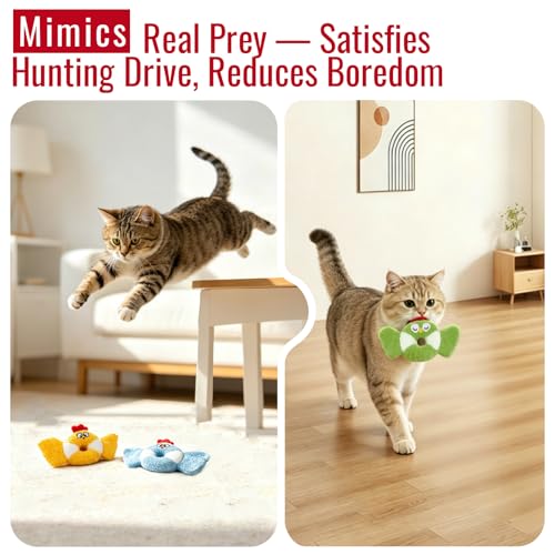 Retro Shaw Catnip Kitten Toys Pack of 3, Cat Toy Bird for Indoor Adult Cats
