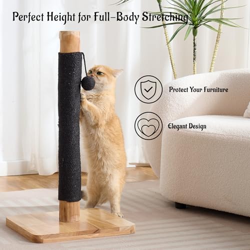 29" Tall Solid Wood Cat Scratching Post for Indoor Cats, Extra Stable Heavy Base, Natural Sisal Scratcher with Hanging Ball, Furniture Protector for Kittens & Adult Cats, Beige - color: Black