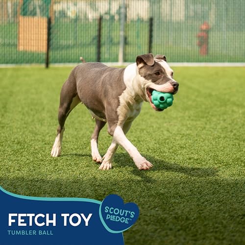 Good Scout Tumbler Ball - Aggressive Chew Toy for Puppies & Adult Dogs, No Stuffing for Medium & Large Dogs - style: Tumbler Ball