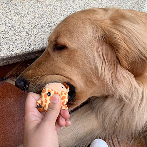 Jalousie 12 Pack Plush Animal Dog Toy, Premium Squeaky Chew Toys for Small Medium Dogs, Stuffed Puppy Toys for Pets - Dental Cleaning & Stress Relief - color: 12 Pack Animals