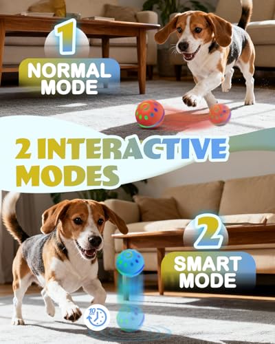 Zoomsnail 2 Pack Interactive Dog Ball Toy with Lights, BPA-Free Automatic Dog Balls with 2 Modes, Rechargeable Waterproof Rolling Ball for Small & Medium Breeds, Ideal Entertainment and Dog Gift Set