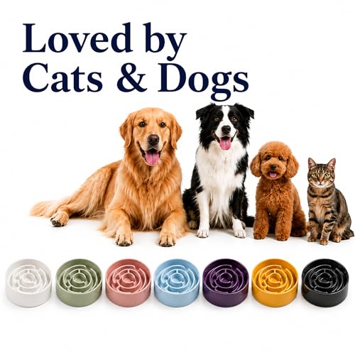 Ceramic Slow Feeder Dog Bowl, 1.5 Cup Puzzle Dish for Small Medium Dogs - color: Ceramic-Black