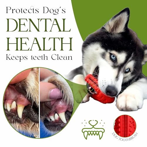 Dog Chew Toys for Aggressive Chewers - Treat Dispensing Chew Shoe Interactive Small Medium Dog Puzzle Toys - color: GREEN