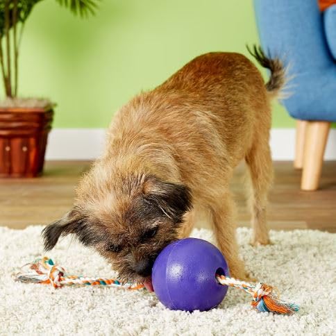 Jolly Pets Romp-N-Roll Rope & Ball Dog Toy, 4.5 in Small, Purple - color: Purple, size: Small (4.5 in)