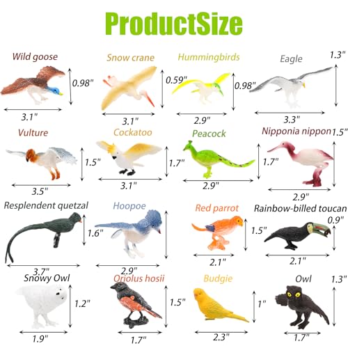 ZENFUN 29 Pieces Realistic Bird Animals Figurines, Mini Bird Model, Birds Cake Cupcake Topper, Parrot Figurine, Miniature Birds Animal Figure for Birthday Party Supply