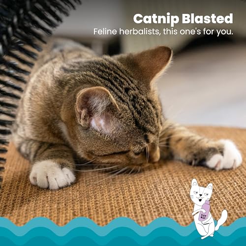 Catstages Scratch & Groom 3-in-1 Cat Scratcher, Brush, and Lounger, 18"