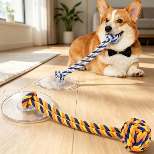 Dog Rope Toy with Suction Cup Interactive Tug of War Toy 2Pcs - size: suction cup