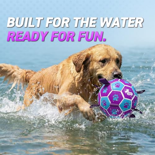 QDAN Dog Toy Soccer Ball, Durable Dog Balls for 30-90 lbs Small Medium Dogs - color: Blue Pruple, size: Large Size 3 (8 Inch)