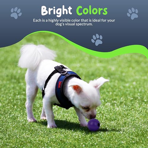 Balls for Aggressive Chewers - Small Dogs and Puppies - 1.5 Inch - 4 Pack - Indestructible Rubber Dog Chew Toys Bulk for Miniature Toy Breeds - size: Mini