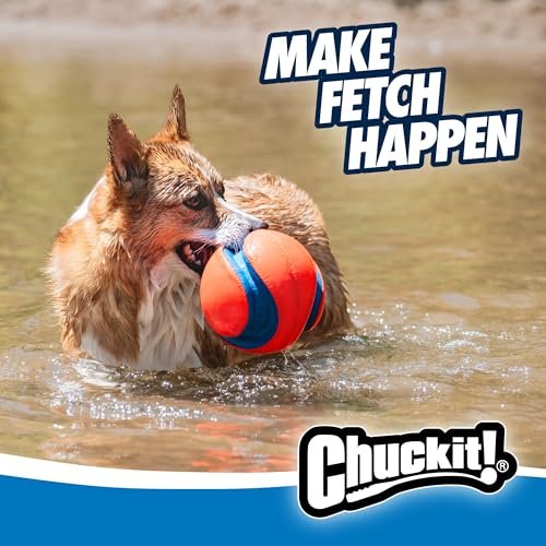 Chuckit! Kick Fetch Ball Dog Toy - Floats in Water - Perfect for Interactive Play - Made with Durable Rubber and Foam - for Large Dogs - Size Large - 8-inch Diameter - 1 Count (Pack of 4) - size: Large (Pack of 4), style: Classic