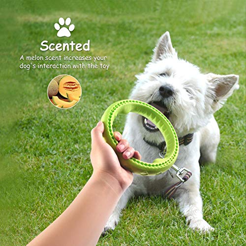 Dog Chewing Ring - Soft Rubber Ring Dental Chewing Teething Biting Chasing Training Toy for Small and Medium Dog Puppy - 7", Green - color: Green Ring, size: 7"