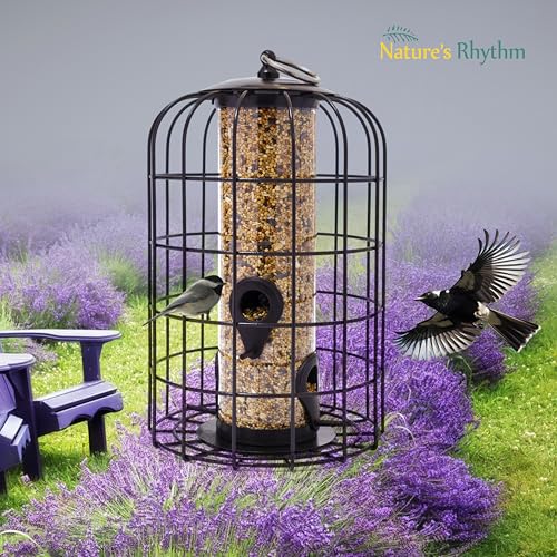 Nature's Rhythm Outdoor Hanging Bird Feeder Cage PC Tube Squirrel Proof Wild Bird Feeder with Large Metal Seed Guard Deterrent Green - size: PC Tube Bird Feeder