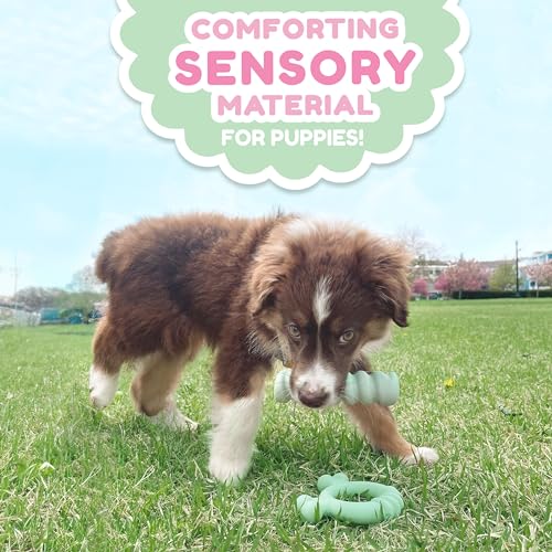 Nylabone Puppy Chew Sensory Material Soothing Ring Dog Chew Toy, Small