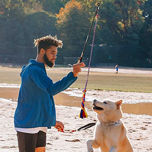 Flirt Pole for Dogs-Interactive Lures Durability Rope,Chase and Tug of war Puppy Toy，Outdoor Dog Agility Training Equipment Plush，Teaser Chew Pet Kits for Small Medium Dogs