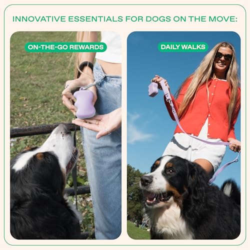 Springland Silicone Dog Training Treat Pouch for Leash, Lilac - color: Lilac