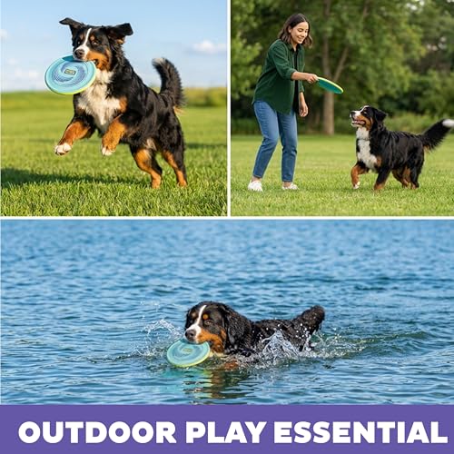 Outward Hound FlyFetch Disc Dog Toy, Aerodynamic for Fetch, Lightweight Foam & Durable Rubber, Floats in Water, All Breeds, 8.3" - color: Blue