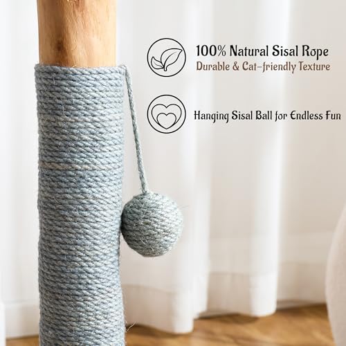 29" Tall Solid Wood Cat Scratching Post for Indoor Cats, Extra Stable Heavy Base, Natural Sisal Scratcher with Hanging Ball, Furniture Protector for Kittens & Adult Cats, Grey - color: Grey