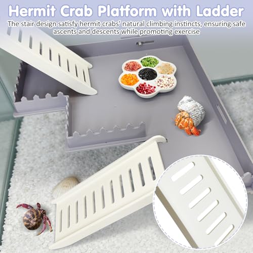 Hermit Crab Climbing Platform Habitat Tank Accessories - color: Grey