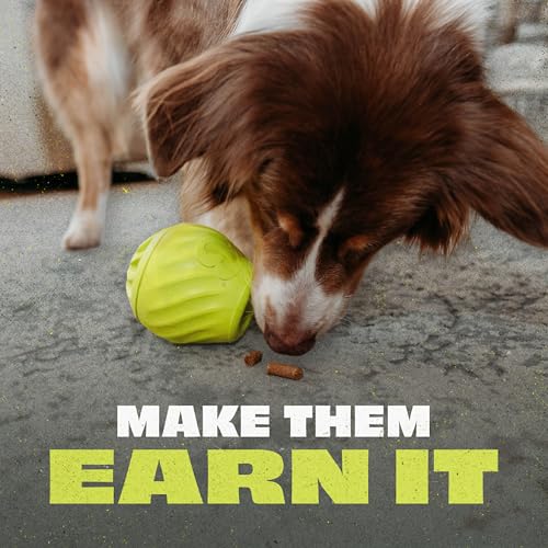 Benebone Pawbler Interactive Treat Dispensing Dog Toy, Small - size: Small/Medium