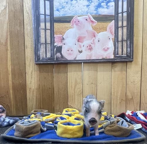 Piggy Poo and Crew Dichromatic Snuffle Foraging Mat for Dogs Perception of Color Enrichment Toy for Dogs Puppies Pigs Rabbits Cats Small Animals - color: Blue Yellow Brown Gray
