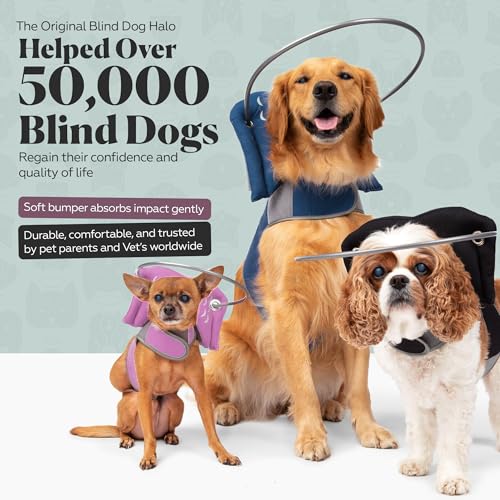 Muffin’s Halo® Original Blind Dog Halo, Harness Bumper Collar, Black Size 7 - color: Black, size: 7