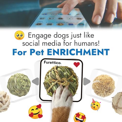 Natural Dog Chew Toys, 6pcs Woven Grass Chew Balls for Dogs, Dental Teething Toys & Interactive Fetch Toys, Outdoor Rattan Digestible Chew Ball for Boredom Relief and Teeth Cleaning - color: 6Kinds