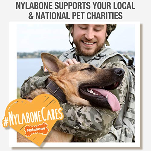 Nylabone Power Chew Textured Knuckle Bone Dog Chew Toys, X-Large, 2 Count - size: X-Large