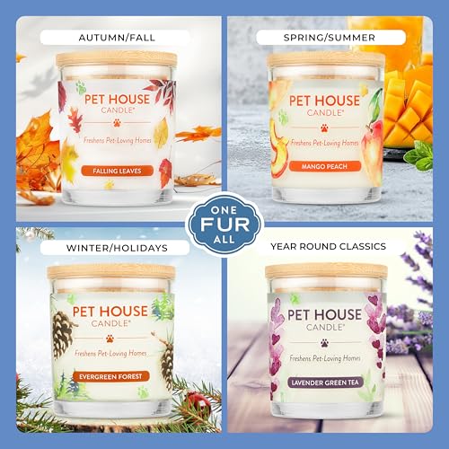 Hot Cocoa & Sugar Cookies Candle Pet Friendly Plant-Based Wax, Pet House - color: Hot Cocoa, Sugar Cookies, size: Pack of 2