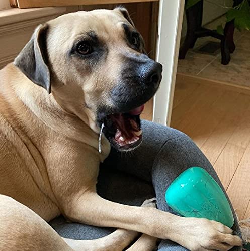 Chew King by Mammoth Premium Treat Dispensing Dog Toy, Durable Natural Rubber Chew Toy, Safety Air Vent, Interactive Enrichment Toy for Aggressive Chewers, Medium Pack of 2- Teal - color: 2-Pack Treater (Teal), size: Medium
