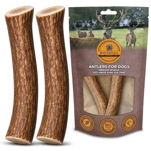 WhiteTail Naturals 2 Pack Whole Deer Antlers for Medium Dogs - 5-6 Inches - size: Medium (Pack of 2)