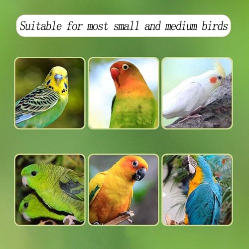 Automatic Acrylic Bird Feeder for Cage, No Mess Bird Feeder for Cage - size: XL