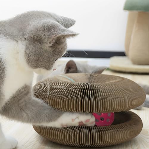 Magic Organ Cat Toy, 1PC Scratching Board