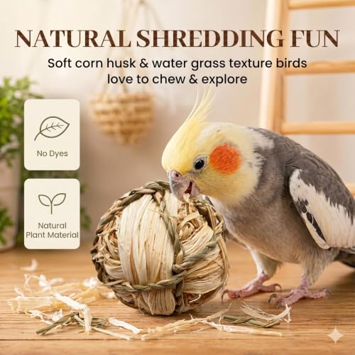 Natural Woven Grass Balls Small Pet Chew Toys, Handmade Wooden Bird Parrot Hamster Rabbit Foraging Balls, Safe Shred Toys for Parakeet Cockatiel Guinea Pig Chinchilla, Corn Silk Ball - style: Traditional