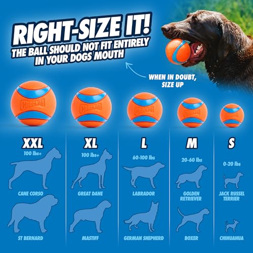 Chuckit! Ultra Ball Toy, Medium 2.5in for Breeds 20-60lbs, 1 Pack - size: Medium (1 Pack), style: Ultra