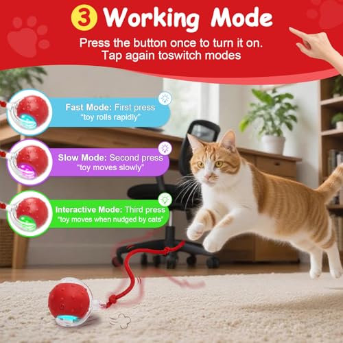Interactive Cat Toys Smart Ball for Cats & Dogs! Now with 2 Rapid Tails. Features: 360°Auto-Rolling, Motion Activation& Bird Sounds. Perfect for Indoor Pet Exercise & Fun. (Red＆Blue) - color: Red＆Blue