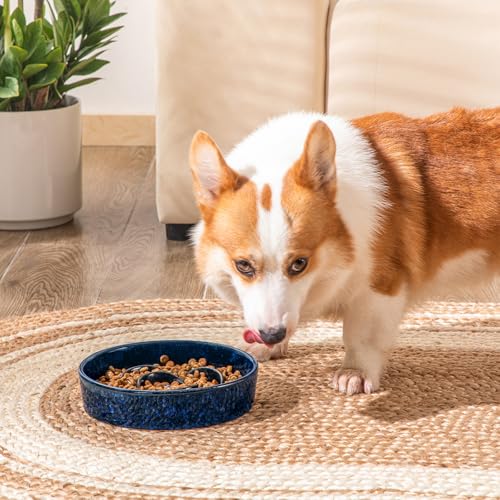 vancasso Slow Feeder Dog Bowl, 1.5 Cup Ceramic Puzzle Dish for Medium Breed - color: Blue, size: M - 1.5 Cups