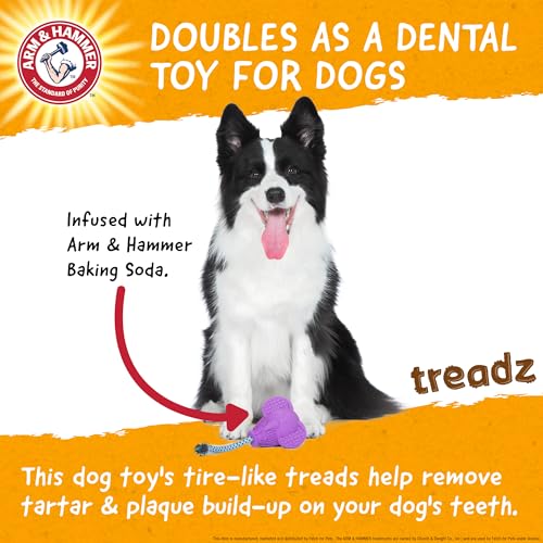 Arm & Hammer Super Treadz Baking Soda Dental Dog Chew Toy, Large, Elephant - size: Large (Pack of 1), style: Elephant
