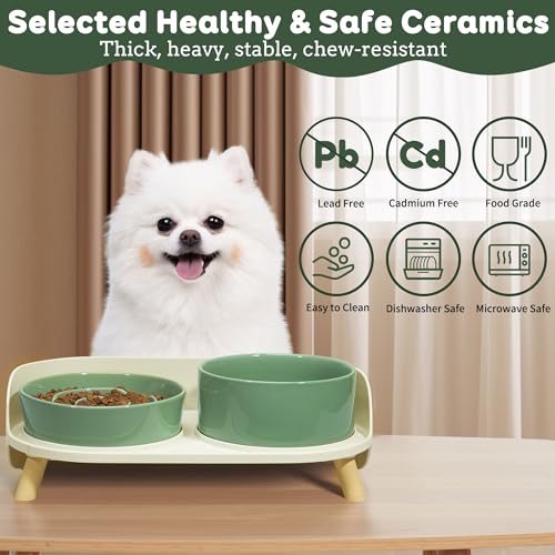 Elevated Slow Feeder Dog Bowls with Splash Proof Stand, Slow Eating 5X - color: Green
