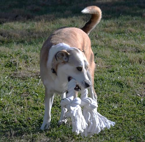 Big TUG Dog Toy. Heavy Duty Cotton Dog Toy, Made with Massive 1-1/2" Rope. White Double Knotted Tug Toy, Extra Large Size for Strong Dogs, Durable Braided Chew Rope with Frayed Ends.
