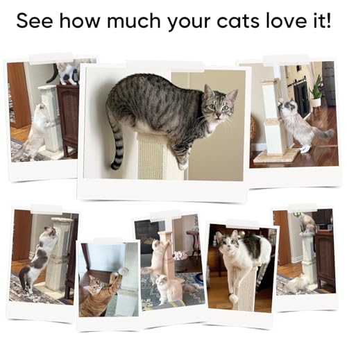 Cat Scratching Post for Indoor Cats, 32Inch Sisal Cat Scratcher - color: Light Gray