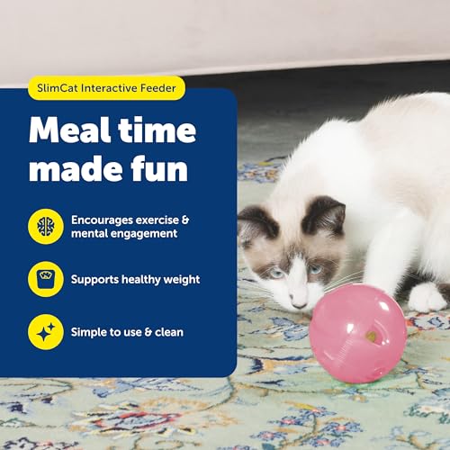 PetSafe Slimcat Feeder Ball Cat Toy, Pink - color: Pink, size: 1 Count (Pack of 1)